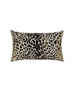 Wild One Onyx Lumbar