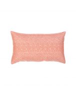 Kanga Papaya Lumbar