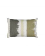 Murmur Lichen Lumbar