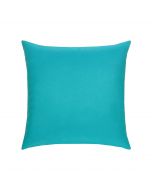 Canvas Aruba Essentials 20"