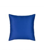 Cobalt Essentials 17"
