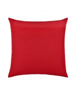 Canvas Logo Red Essentials 22"