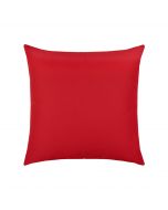 Canvas Logo Red Essentials 20"