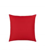 Canvas Logo Red Essentials 17"