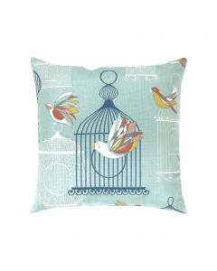 Birds & Cages