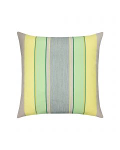 Citrus Stripe