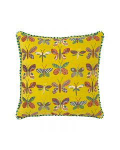 Papillon Dijon