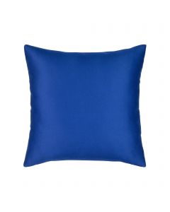 Cobalt Essentials 20"