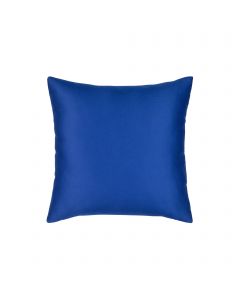 Cobalt Essentials 17"