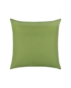 Canvas Ginkgo Essentials 20"