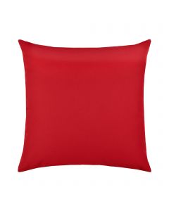 Canvas Logo Red Essentials 22"