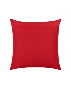 Canvas Logo Red Essentials 20"