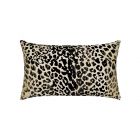 Wild One Onyx Lumbar
