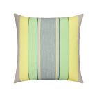Citrus Stripe