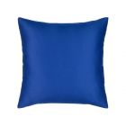 Cobalt Essentials 20"