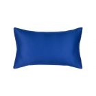 Cobalt Essentials Lumbar