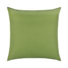 Canvas Ginkgo Essentials 22"