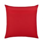 Canvas Logo Red Essentials 22"